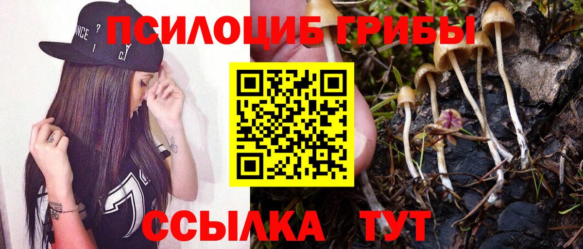 Галлюциногенные грибы MAGIC MUSHROOMS  Вход с VPN  Черногорск  Галлюциногенные грибы Magic Shrooms 