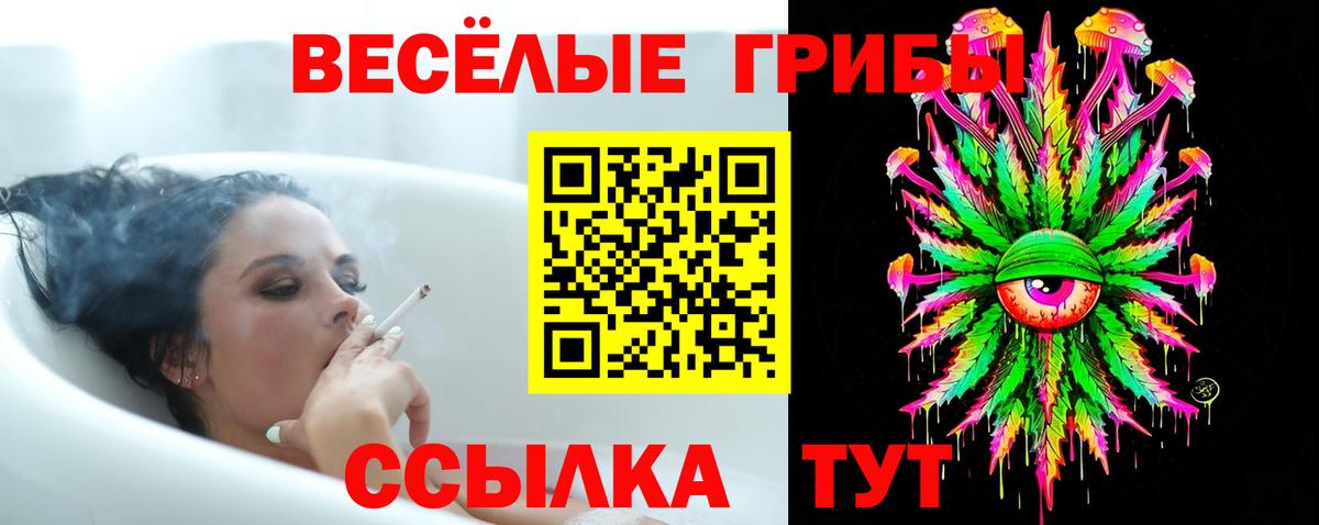 Галлюциногенные грибы Magic Shrooms Черногорск
